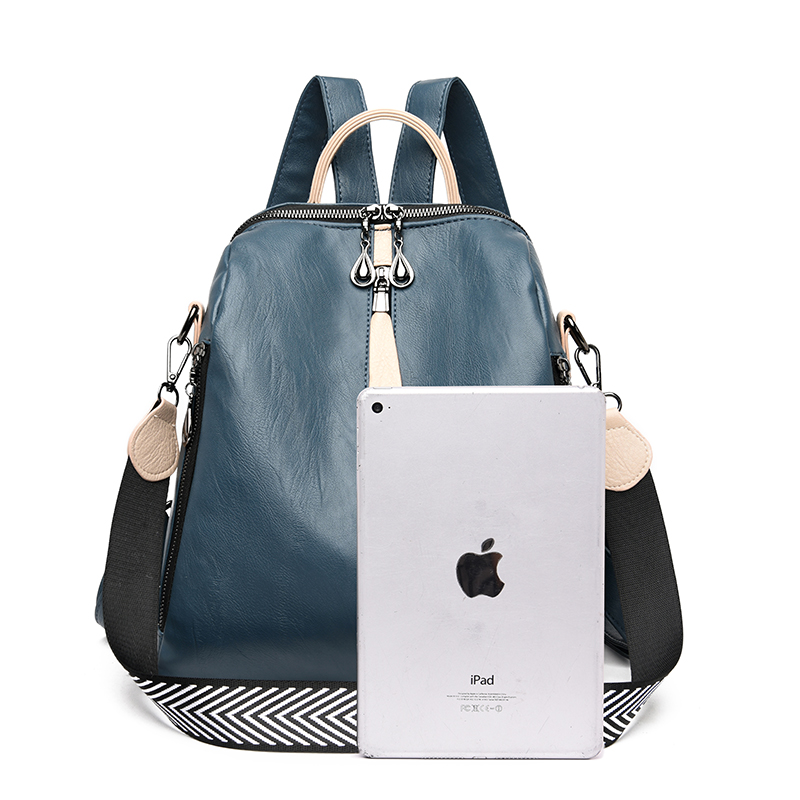Mode Rucksack Frauen weichen L – Travel Accessories Holder Bewertung und Preis